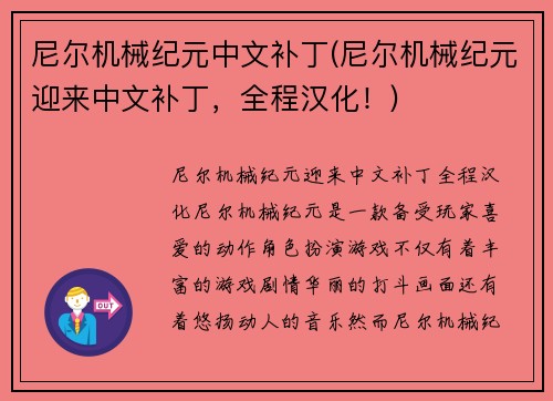 尼尔机械纪元中文补丁(尼尔机械纪元迎来中文补丁，全程汉化！)